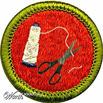 Illustration for article titled The 11 Best Online Merit Badges
